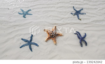 Starfish under water on sand beach Starfish under water on sand beach 139242842