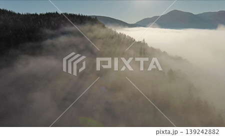 Sun rays shining through foggy forest in mountains Sun rays shining through foggy forest in mountains 139242882