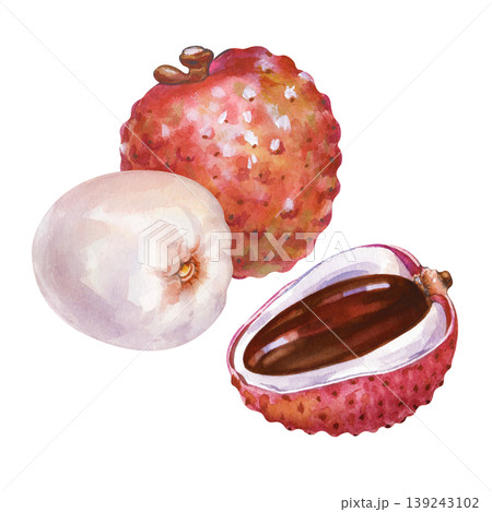 Watercolor illustration of tropical lychee fruits. Composition with one whole pink textured fruit, one peeled white juicy fruit, and one half-cut lychee showing the dark brown glossy seed on a 139243102