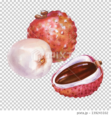 Watercolor illustration of tropical lychee fruits. Composition with one whole pink textured fruit, one peeled white juicy fruit, and one half-cut lychee showing the dark brown glossy seed on a 139243102