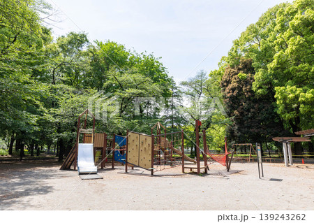 緑豊かな公園の遊具 緑豊かな公園の遊具 139243262