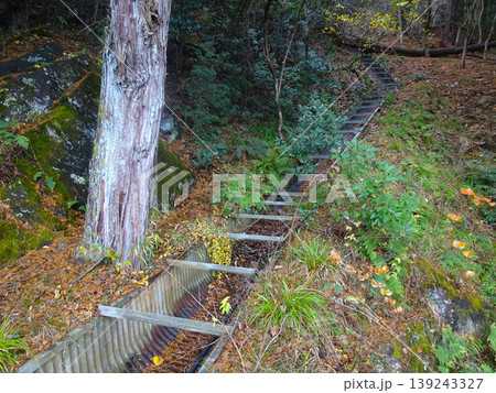 立雲峡の登山道にある人工水路（兵庫県朝来市） 139243327