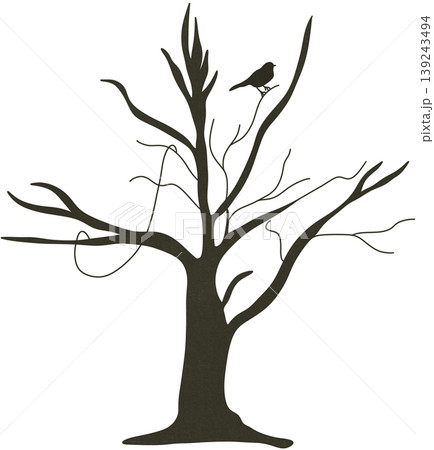 dead tree with one bird dead tree with one bird 139243494