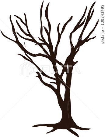 dry tree without leaves dry tree without leaves 139243495