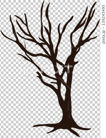 dry tree without leaves dry tree without leaves 139243495