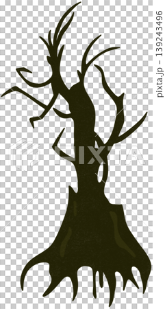 shadow dry tree shadow dry tree 139243496