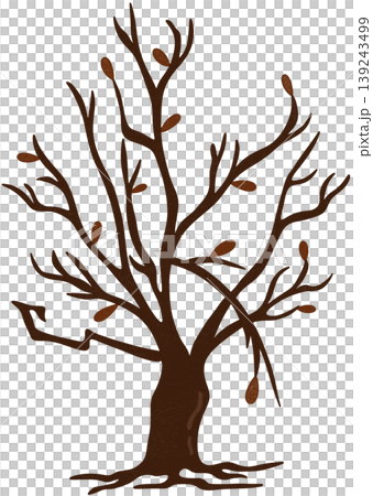 brown dry tree with leaves brown dry tree with leaves 139243499