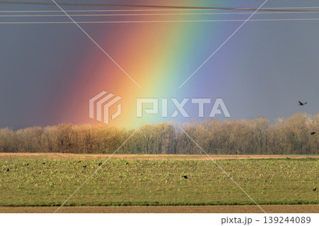Rainbow on a spring day thanks to the rain and the sun Rainbow on a spring day thanks to the rain and the sun 139244089