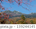 赤い実の向こうに望む秋の乗鞍岳・北アルプスの山並みと澄み渡る青空 139244145