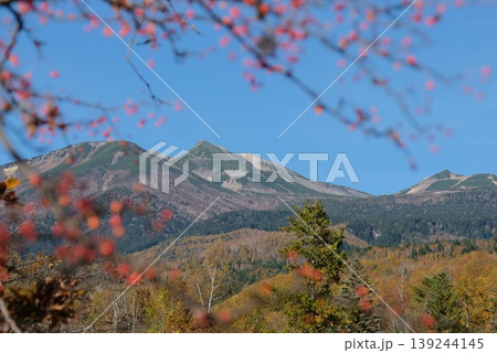 赤い実の向こうに望む秋の乗鞍岳・北アルプスの山並みと澄み渡る青空 139244145