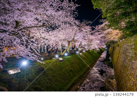 金沢城の夜桜 お堀に映る満開の桜のリフレクションと石垣の夜景 139244179