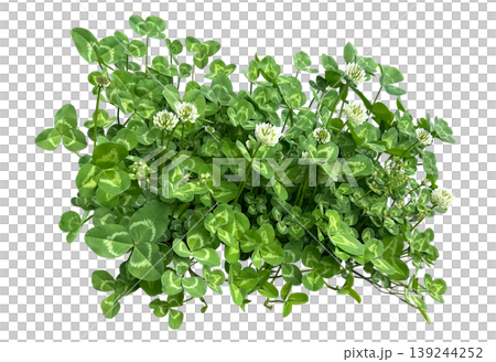 Clover cutouts Clover cutouts 139244252