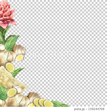 Ginger root, pink flower, dried powder and green leaves - frame for text. Hand drawn botanical watercolor illustration, isolated. Spicy plant for food label design, natural cosmetics and medicine. Ginger root, pink flower, dried powder and green leaves - frame for text. Hand drawn botanical watercolor illustration, isolated. Spicy plant for food label design, natural cosmetics and medicine. 139244709