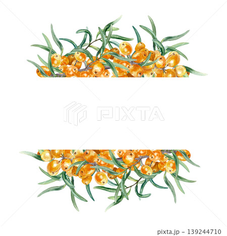 Sea buckthorn berries template for text insertion. Hand drawn watercolor botanical illustration of healthy berry, isolated. Suitable for food labels, tea, oil and cosmetics. Sea buckthorn berries template for text insertion. Hand drawn watercolor botanical illustration of healthy berry, isolated. Suitable for food labels, tea, oil and cosmetics. 139244710
