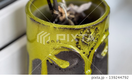 Vibrant Green Decorative Pot with Plant Details Vibrant Green Decorative Pot with Plant Details 139244792