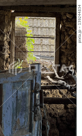 Rustic Window View with Overgrown Plants and Weathered Door 139244834