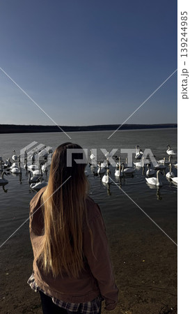 Serene Moment by the Water with Swans in the Background 139244985