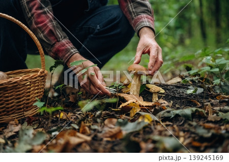 Bucket on the ground. Close up view of man that is doing mushroom picking in the forest 139245169