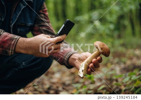 Making photo by using phone. Close up view of man that is doing mushroom picking in the forest Making photo by using phone. Close up view of man that is doing mushroom picking in the forest 139245184