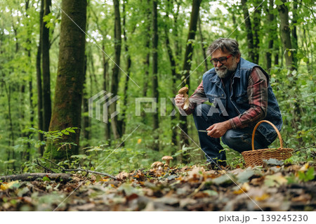 Mushroom picking. Man is in the forest at daytime 139245230