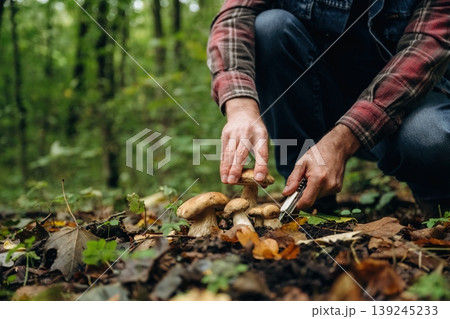 White knife, slicing by using it. Close up view of man that is doing mushroom picking in the forest White knife, slicing by using it. Close up view of man that is doing mushroom picking in the forest 139245233