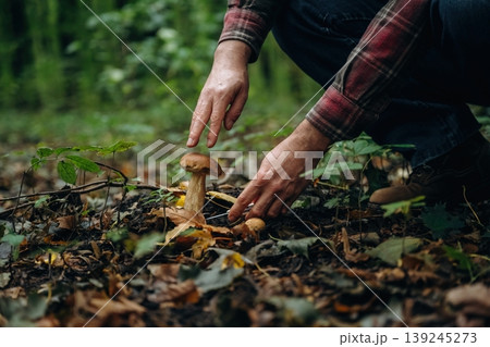 Bended down to cut. Close up view of man that is doing mushroom picking in the forest 139245273