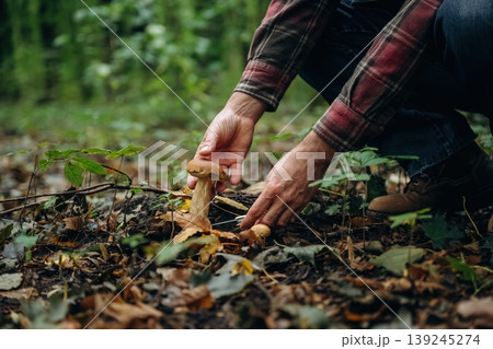 Bended down to cut. Close up view of man that is doing mushroom picking in the forest Bended down to cut. Close up view of man that is doing mushroom picking in the forest 139245274