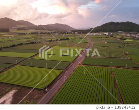 鹿児島県 知覧の茶畑と夕焼け空 ドローン空撮 鹿児島県 知覧の茶畑と夕焼け空 ドローン空撮 139245412