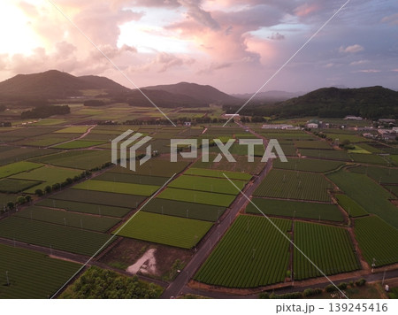 鹿児島県 知覧の茶畑と夕焼け空 ドローン空撮 139245416