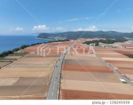 長崎県 千々石のじゃがいも畑と海沿い農地風景 ドローン空撮 長崎県 千々石のじゃがいも畑と海沿い農地風景 ドローン空撮 139245439