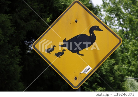 Duck crossing sign. Duck crossing sign. 139246373
