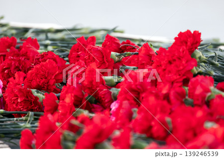 Vivid red carnations are placed and arranged together Vivid red carnations are placed and arranged together 139246539
