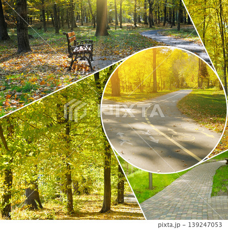 Autumn City Park Collage with Golden Foliage and Paths Autumn City Park Collage with Golden Foliage and Paths 139247053