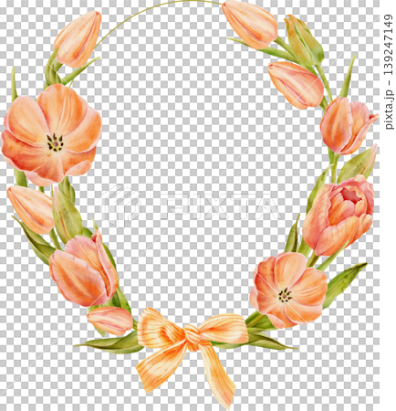 A frame of coral (orange) tulips, painted in watercolor. Hand-drawn illustration 139247149
