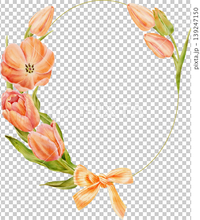 A frame of orange tulips, painted in watercolor. Hand-drawn illustration 139247150