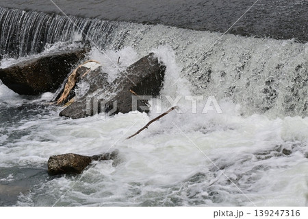 河川の氾濫 増水 溢水 越水 A river overflows 河川の氾濫 増水 溢水 越水 A river overflows 139247316