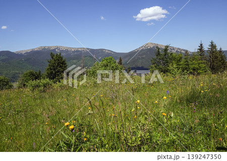 Summer Gorgany massiv mountains scenery view from Sevenei hill (near Yablunytsia pass, Carpathians, Ukraine.) Summer Gorgany massiv mountains scenery view from Sevenei hill (near Yablunytsia pass, Carpathians, Ukraine.) 139247350