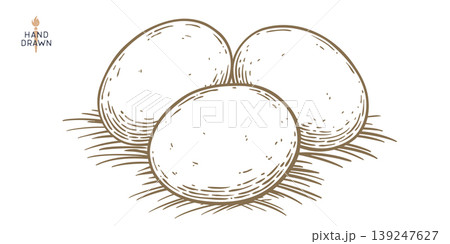 Eggs, sketch, hand drawn. Sketch artwork Eggs, sketch, hand drawn. Sketch artwork 139247627