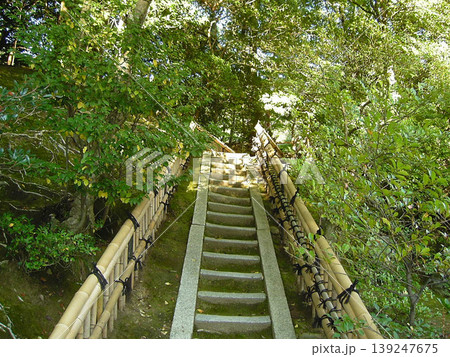 京都の石段と竹垣の小道（日本庭園・自然・静寂の風景） 139247675