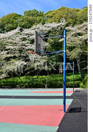 岳ノ木場公園(長崎県大村市)桜の名所 ツツジの名所 岳ノ木場公園(長崎県大村市)桜の名所 ツツジの名所 139247689