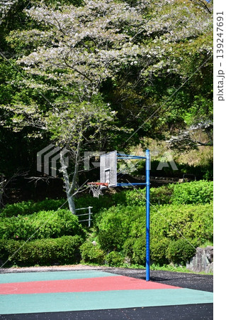 岳ノ木場公園(長崎県大村市)桜の名所 ツツジの名所 岳ノ木場公園(長崎県大村市)桜の名所 ツツジの名所 139247691