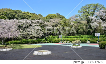 岳ノ木場公園(長崎県大村市)桜の名所 ツツジの名所 岳ノ木場公園(長崎県大村市)桜の名所 ツツジの名所 139247692