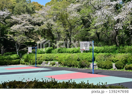 岳ノ木場公園（長崎県大村市）桜の名所　ツツジの名所 139247698