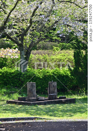 岳ノ木場公園（長崎県大村市）桜の名所　ツツジの名所 139247700