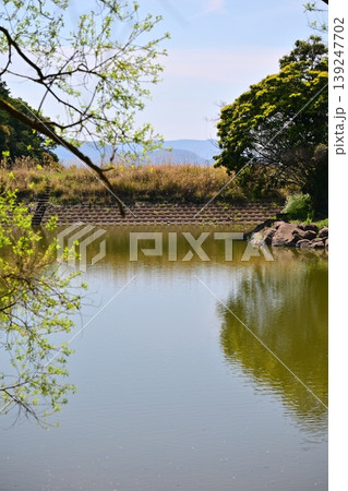 岳ノ木場公園(長崎県大村市)桜の名所 ツツジの名所 岳ノ木場公園(長崎県大村市)桜の名所 ツツジの名所 139247702
