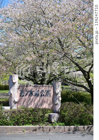 岳ノ木場公園（長崎県大村市）桜の名所　ツツジの名所 139247710