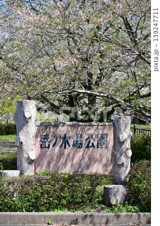 岳ノ木場公園(長崎県大村市)桜の名所 ツツジの名所 岳ノ木場公園(長崎県大村市)桜の名所 ツツジの名所 139247711