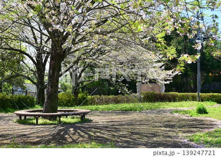 岳ノ木場公園(長崎県大村市)桜の名所 ツツジの名所 岳ノ木場公園(長崎県大村市)桜の名所 ツツジの名所 139247721