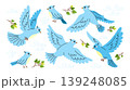 Cute set of illustrations of blue birds in different poses. Colorful stickers and icons collection of pigeons, parrots and bullfinch in flying. Cartoon character of wildlife and pet for children. Cute set of illustrations of blue birds in different poses. Colorful stickers and icons collection of pigeons, parrots and bullfinch in flying. Cartoon character of wildlife and pet for children. 139248085