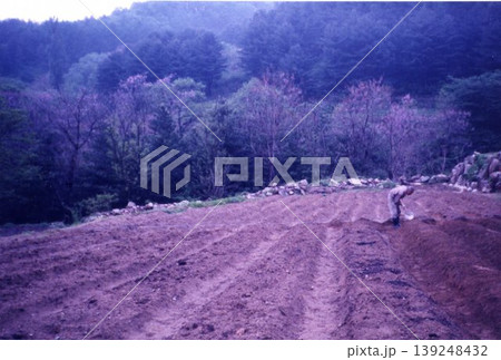 Farmer Tilling Field Amidst Forested Landscape 139248432
